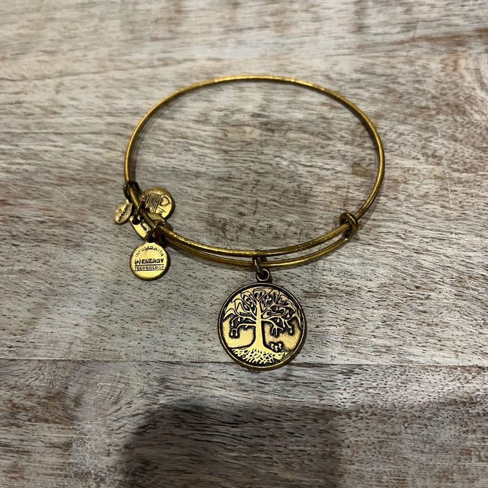 Alex and Ani Tree of Life Bracelet